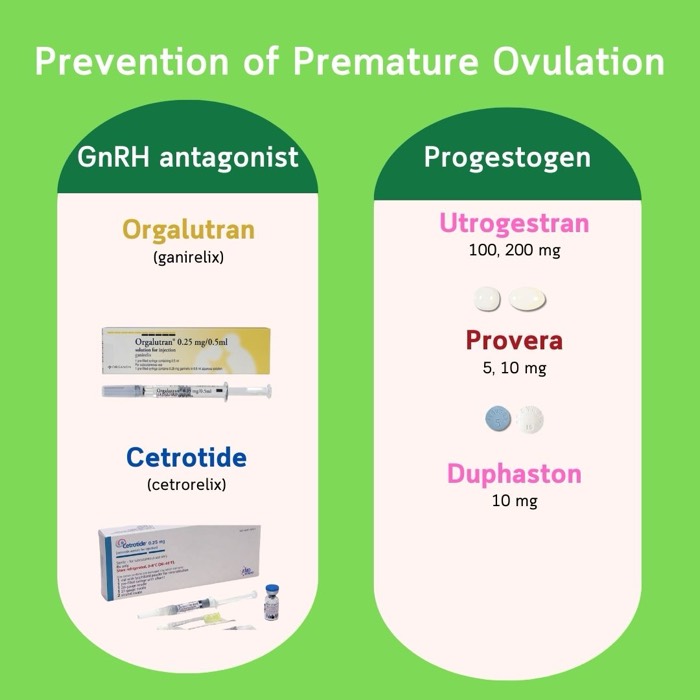 早発排卵の防止 — GnRHアンタゴニスト（Orgalutran、Cetrotide）と黄体ホルモン製剤（Utrogestran、Provera、Duphaston）