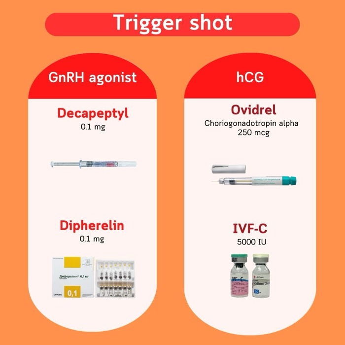 トリガー注射 — GnRHアゴニスト（Decapeptyl、Diphereline）とhCG（Ovidrel、IVF-C）